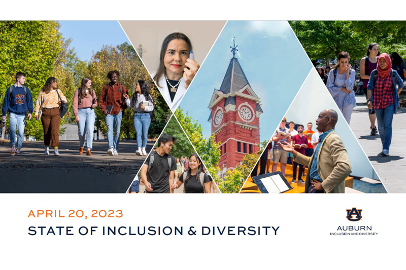 Cover of 2023 State of Inclusion presentation